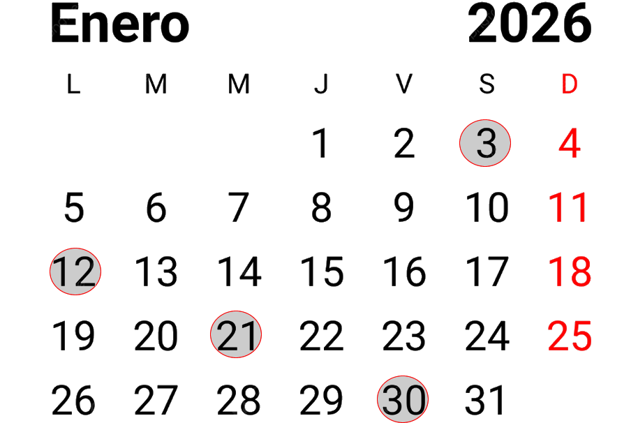 días de turno