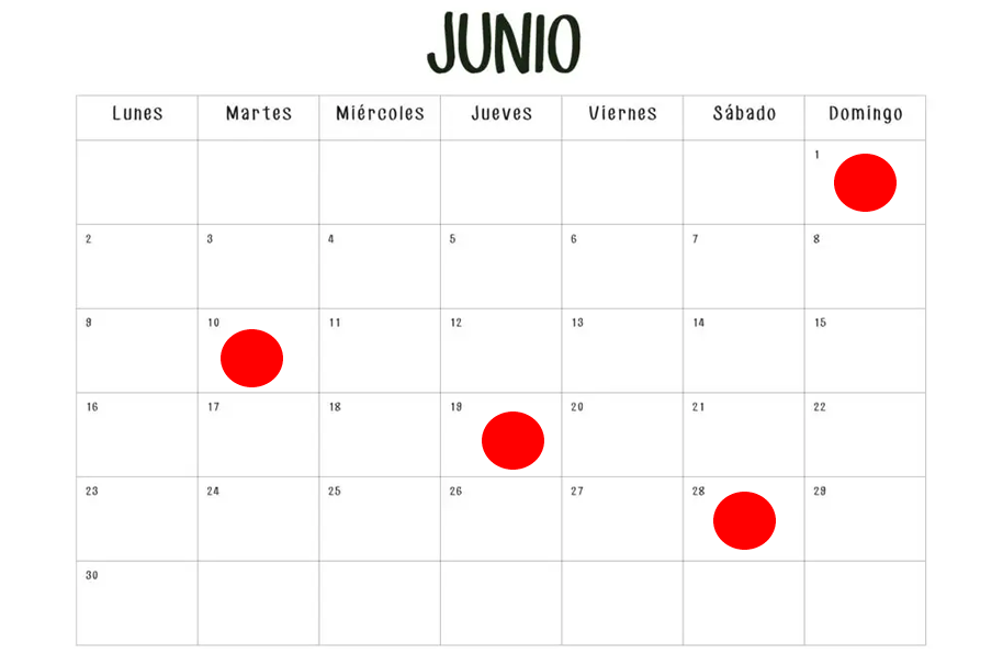 días de turno